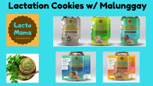 Lactation Cookies with Malunggay Leaves by Lacto Mama- 15 COOKIES in a Jar