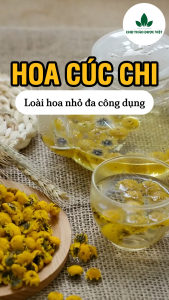Nụ hoa cúc sấy lạnh 500g hoa cúc chi cúc tiến vua nguyên bông pha trà dưỡng nhan an thần