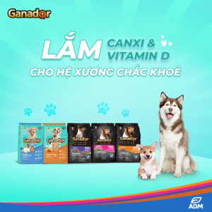 Thức ăn hạt nhiều vị dinh dưỡng cho Chó Ganador túi 400gr dành cho chó con và chó lớn.