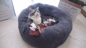 Cat House Super Soft Pet Donut Bed Plush Fleece Washable Pad For Dogs And Cats Cat nest Dog House Pet Bed 猫窩狗窩寵物窩