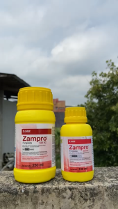 Fungisida  Zampro 525 SC isi 250ml yang bersifat sistemik dan protektif