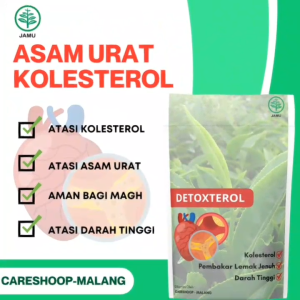 DetoxTerol Herbal Black Currant Teh Herbal Penurun Kolesterol & Asam Urat 10 pcs