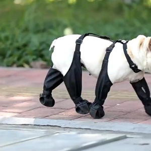 【Bestselling Product】 Whisker Pet Dog Outdoor Shoes Anti- Waterproof Breathable Dog Shoes pet shoes dog big dog shoes shoes for dog Outdoor Seasonal Pet Dog Shoes Small Medium Dogs