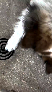 กล่องใส่ยากันยุง ตะแกรงยากันยุง กล่องยากันยุงใส่กรีดยาง พลาสติกหนา กันความร้อน มีที่หนีบ แบบที่แขวนยากันยุง