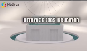 ตู้ฟักไข่ พลิกไข่อัตโนมัติ 16/36 รุ่น การป้องกันไฟแบบสองด้าน ฟรีกล่องหูม