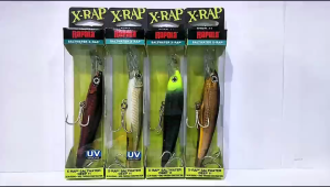 RAPALA SALTWATER X-RAP DEEP 11 FISHING LURE (SXRD11)
