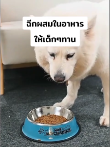 ขนมน้องหมา น้องแมว ปลาฉลามฟรีซดราย ขัดฟัน เสริมสารอาหาร หอมปลามาก