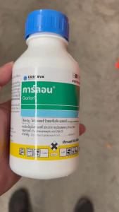 ถุงยกลัง 500 ซีซี การ์ลอน ยกลัง 20 ขวด ไตรโคลเพอร์ กำจัดตอไม้ สารทาตอ ต้นไม้ รากไม้ กระถิน กำจัดวัชพืช บู ผักบู ยาง เครือ 500 บรรทัดการ์ลอน
