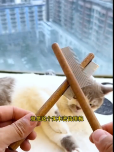 🇸🇬 Pets Flea Brush Face Grooming Comb Eye dirt stain food cleaning fur hair cat dog stainless steel Wooden Plastic