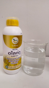 เจนวาย อไลค์ทู 1L. (สูตรเร่งผลผลิต) รูปแบบน้ำใส ข้าวออกรวงสม่ำเสมอ เมล็ดเต็มรวง ลดการหลุดร่วงเมล็ด น้ำหนักดี