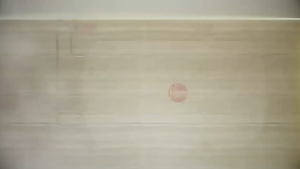 [NEW] Rheem Storage Water Heater 30L/50L/100L Aquarium Heater 50W 50 Gallon Water Heater - Lazada