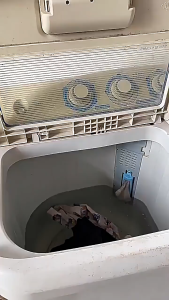 Scent Booster Beads Lasting Fragrance Beads Soft Garment Pewangi Viral 800g留香珠衣物香味持久性香护衣凝72小时留香珠800克