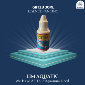 GATZU 30 ML ESSENCE PANCING