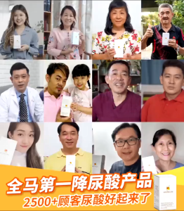 下单后24小时出货~正品原装 Master Uri 46% 浓缩猫须草精华-降尿酸保健品 尿酸 痛风 补肾