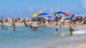 Dry Bag Jaring Renang Tas Perlengkapan Berenang Swim Wear Tempat Alat Olahraga Air Dewasa dan Anak