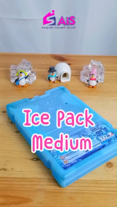 ICEGELKU ICE PACK MEDIUM 22x15cm ICE PACK SIAP PAKAI ICE GEL PACK KOTAK BLUE PACK ICEPACK COOLER BOX ICEGEL COOLER BAG ICE PACK AIR COOLER ICE PACK SEDANG