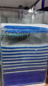 10D Aquarium Filter Sponge for Fish Tank Kapas Penapis Akuarium 2Pcs