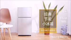 Refrigerator Two Door Direct Cool Mini Refrigerator inverter Refrigerator With Freezer Save Electricity