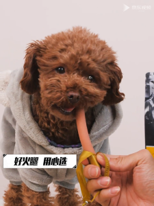 10 ชิ้น ขนมสุนัขขัดฟัน ส้กรอก ไส้กรอกสุนัข ไส้กรอกแฮมสุนัขอาหารหมา อาหารแมว ขนมแมว ขนมสุนัขแปรรูปจากเนื้อ เป็ด ไก่