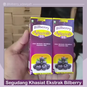 Obat Mata BILBERRY ADAWIYAH 99 Solusi Untuk Mata Merah Rabun Dan Gangguan Pada Syaraf Mata Herbal Alami ASLI BPOM