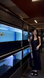 Mayin True Colour Super Viewing Light 马印水族真色观赏灯（蓝底专用灯）