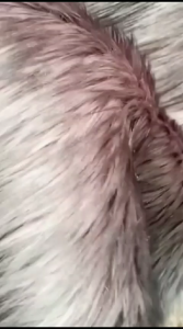 Kotak Tissu Bulu Glosy