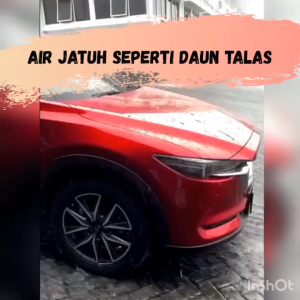 Paint Protection SHINEE | Pengkilap Body Mobil Ceramic Coating & Penghilang Baret Perawatan Kendaraan