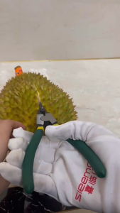 Mi.more Tang Durian: Alat Pengupas Durian Anti Karat & Tahan Lama