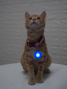 TOM Bola Lampu LED Luminous kalung Liontin untuk Anjing / Kucing