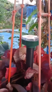 🐭50 years without rats🐭 Ultrasonic pest repeller Rodent repeller Rat killer 4 frequencies Mute Low energy consumption 360° all-round Repeller rodent cockroaches mosquitoes and other insects Rat repellant Electric rat repellent Mouse trap for big rat