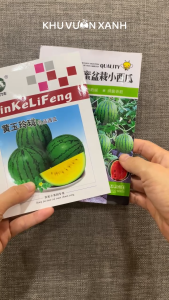 Hạt giống Dưa hấu táo mini ruột Đỏ Vàng - Gói 20 hạt 50 hạt - Nội địa Trung