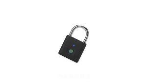 Anti-theft Smart Fingerprint Padlock Portable Waterproof Smart Lock Warehouse Gate Door Gym Padlock