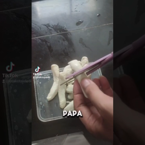 Otak Otak Ikan Asli 200g Paling Lejat berkah jaya sama isinya seperti kembar jaya