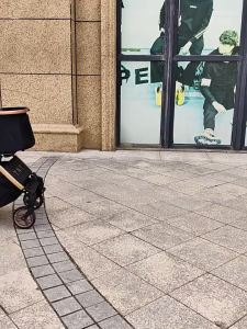 Xe đẩy chó mèo 2in1 đa năng đi du lịch gấp gọn mẫu mới 2024 chống sốc chuyên đi du lịch