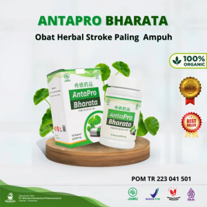 GRATIS ONGKIR ANTAPRO BHARATA OBAT HERBAL STROKE RINGAN BERAT HIPERTENSI KOLESTEROL BPOM AMPUH