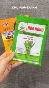 Hạt giống Măng tây xanh tím chịu nhiệt - Gói 0.5gr - Trồng quanh năm