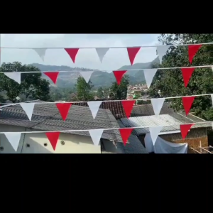 Bendera Segitiga Merah Putih: Pilihan Terbaik untuk Bendera HUT RI 17 Agustus