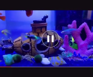 Mô Hình Tàu Ngầm Tàu Lặn Bằng Nhựa Resin Mô Hình Tàu Đắm Vật Phẩm Decor Sáng Tạo Không Gian Nước