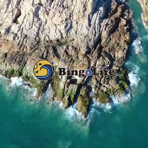 BingoLife Senar Nilon 300m Senar Pancing Speckle Colorful Memancing Galatama Hijau Biru Halus Lembut Professional Fishing Line