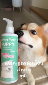 แชมพู Organic สำหรับลูกสูง กลิ่นคัพเค้ก อ่อนโยน บำรุงเส้นขน และเส้นหงสม ป้องกันเห็บหมัด ลดขนร่วง แบบถาวร