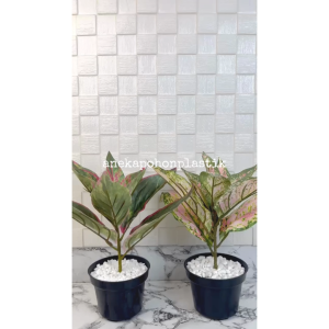 Pohon Artificial Pohon Daun Aglonema Lipstick Variasi Hijau & Pink Pot Dasar Hitam Hiasan Ruang Tamu Aesthetic