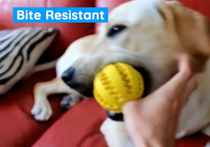 Đồ chơi quả bóng rò rỉ thức ăn cho Chó gặm sạch răng - Love Pets Shop