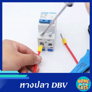 50 ตัว DBV หางปลา DBV หางปลาตรง หางปลาย้ำสายแบบตรง 50 ตัว