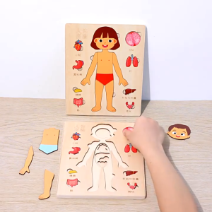 Puzzle Edukasi Organ Tubuh Anatomy Manusia Keterampilan Motorik Halus Anak MK139