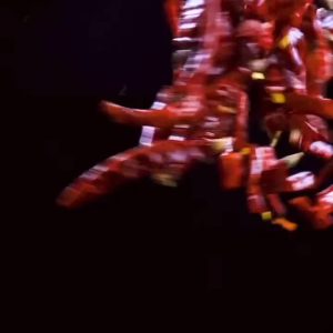 Dried chili peppers particularly spicy millet chili peppers devil chili pepper chili powder