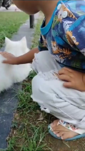 Celana Fashion Anak umur 1-12 Tahun / Celana Ripped anak laki-laki / Celana sobek anak Laki laki