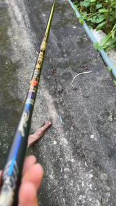 CẦN CÂU ĐƠN ĐÀI 4H HẮC ĐIẾU SƯ KÈM NGỌN KÈM 1 CÂY PHAO NGÀY CẦN CÂU CÁ NHỎ