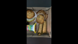 [PER 10 LEMBAR] DUS NASI 20cmx20cm R10K 350gr & 310gr AK