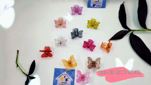 Set 3 cái cào đỉnh nhựa trong thuần khiết gắp tóc mái kẹp càng cua mini kẹp tóc nữ hàn quốc cute phụ kiện bé gái - thương hiệu Vợ Chồng Tôi