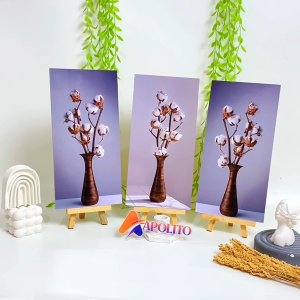 Hiasan Dinding Simple Cotton Flowers Set Isi 3 & Dekorasi Rumah Aesthetic